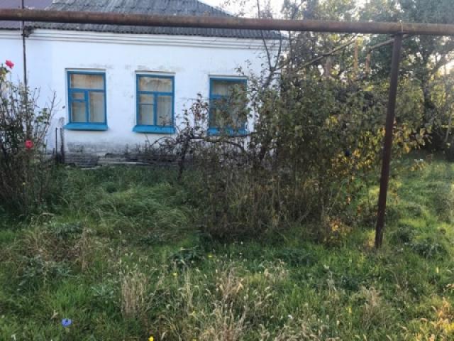 Дом на продажу в Сенное, Комсомольский пер. фото №4