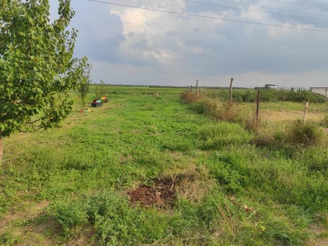 Участок на продажу в Старочеркасской, Полевая улица,3а фото №0