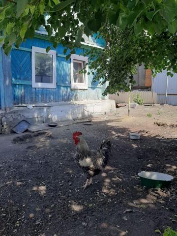 Дом на продажу в Чебаркуле, Станционная ул фото №1