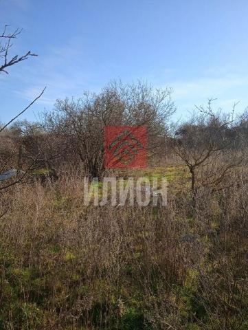 Дом на продажу в Нововасильевке, Солнечная улица, 44 фото №0