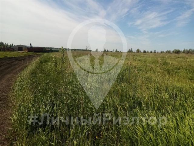 Коммерческая земля на продажу в Вердерево фото №4