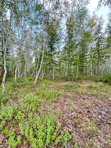 Участок на продажу в Якутске, Вилюйский 16 км тракт фото №0