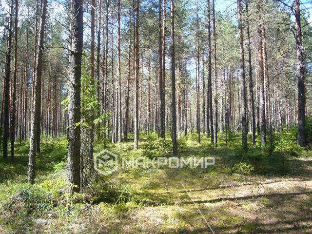 Участок на продажу в Старом фото №0