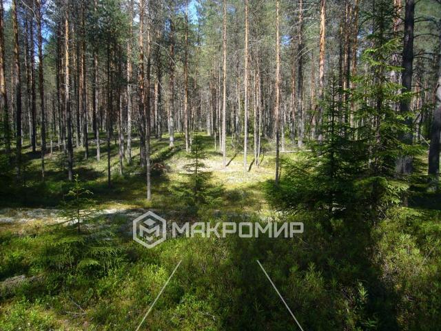 Участок на продажу в Старом фото №5