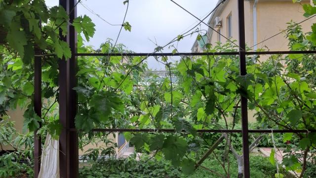 Дом на продажу в селе Цибанобалка фото №22