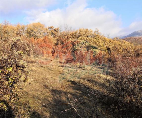 Участок на продажу по адресу Россия, Республика Крым, Алушта, посёлок Лаванда, городской округ Алушта, посёлок Лаванда фото №4