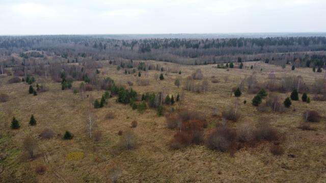 Участок на продажу в Рынделе, деревня Рындела фото №0