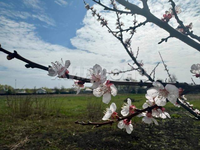 Дом на продажу в Курбатово, Пролетарская улица фото №4