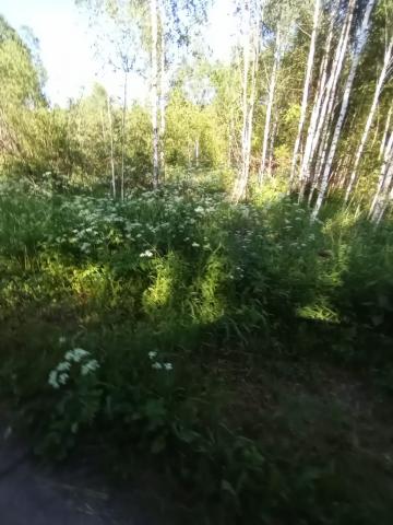 Участок на продажу в Решетниково, Мкр. Санькова фото №4