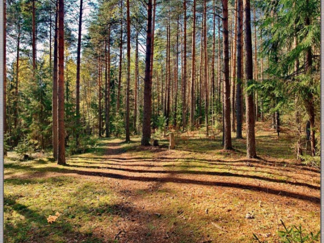 Земельныеучастки с/х производства и СНТ, ДНТ  фото №0