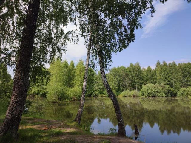 Дом на продажу в Горневской Слободе фото №2
