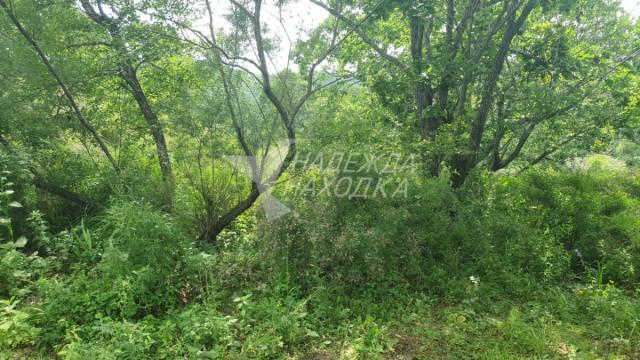 Участок на продажу в Находке, Беринга (поселок Врангель мкр.) ул, 44 фото №5