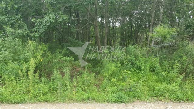 Участок на продажу в Находке фото №3