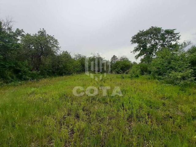 Участок на продажу в Староживотинном, Лесная фото №0