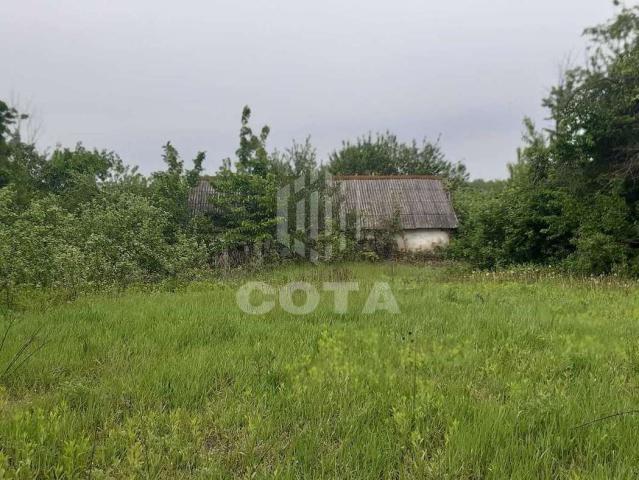 Участок на продажу в Староживотинном, Лесная фото №2