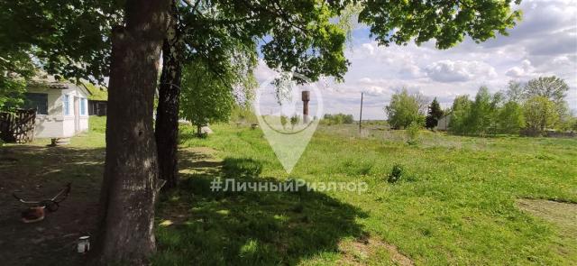 Дом на продажу в Николе-Скопине, ул Центральная, д. 23 фото №18