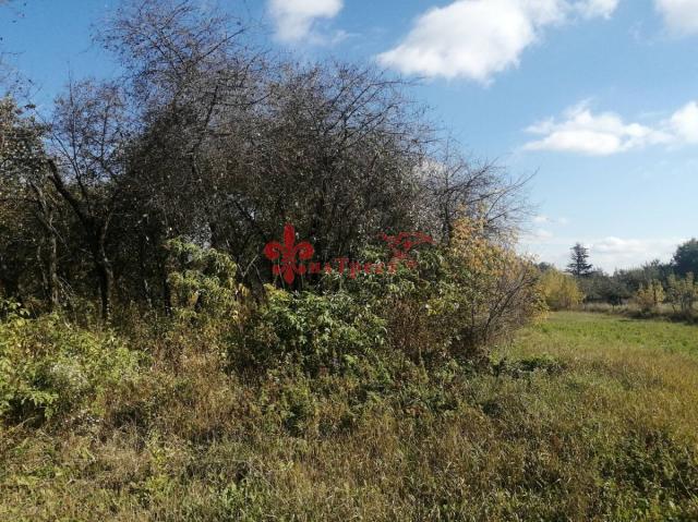 Участок на продажу в Строителе, Магистральная ул, 66 фото №4