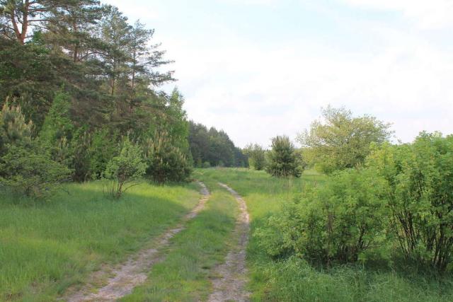 Участок на продажу в Большой Приваловке, ул Подлесная, 46/6,15 фото №3