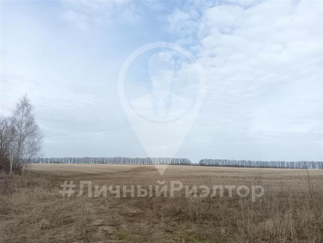 Дом на продажу в Большаке, ул Заводская, д. 42 фото №13