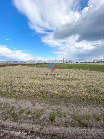 Участок на продажу по адресу Россия, Брянская область, д.Тешенечи, Добрунское сельское поселение, д. Тешенечи фото №0