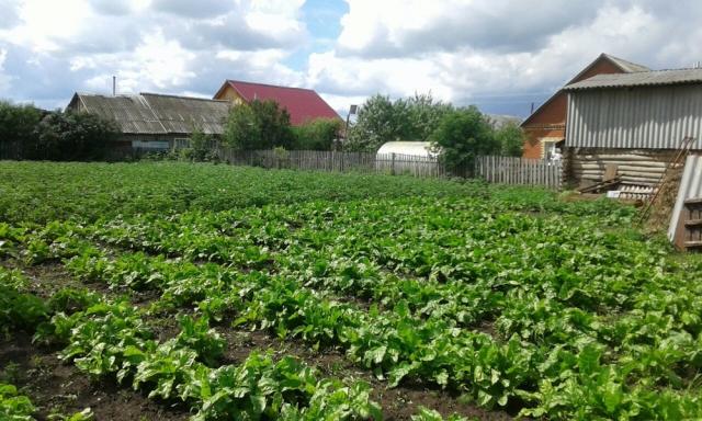 Дом на продажу в Шаране, Габдуллы Тукая, 999 фото №8