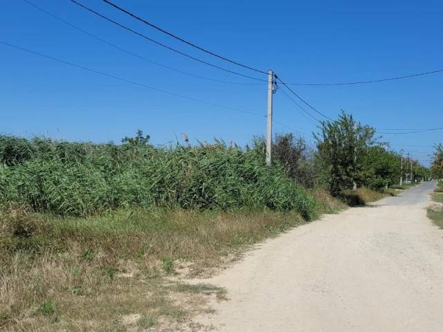 Участок на продажу в Сенное, Коммунистическая ул. фото №0