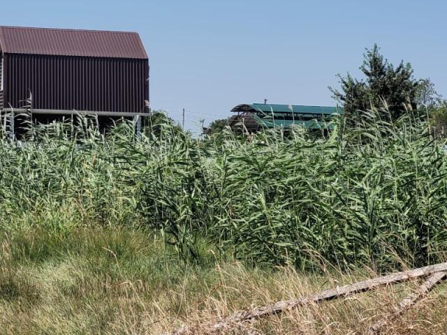 Участок на продажу в Сенное, Коммунистическая ул. фото №2