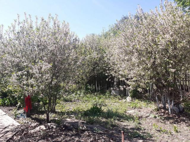 Дом на продажу в Боровом, Гагарина ул фото №4