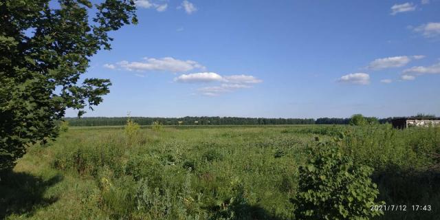 Участок на продажу в Киселево, Молодёжная улица фото №4