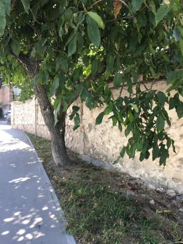 Дом на продажу в Севастополе, ул. Бригадная, 5 фото №13