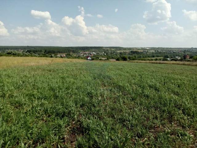 Участок на продажу в Девице фото №1