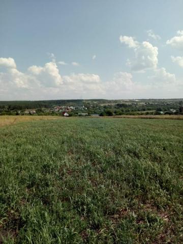 Участок на продажу в Девице фото №3