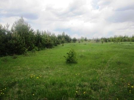 Участок на продажу в Подлесном, Песчаная ул, фото №0