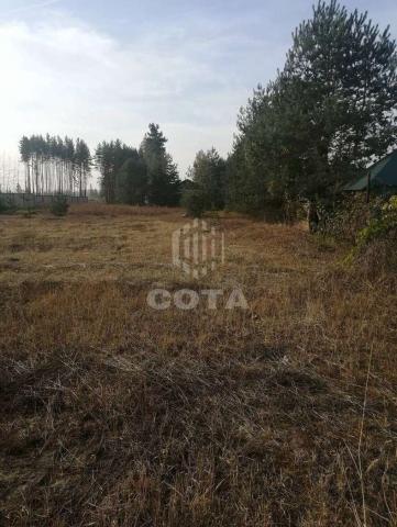 Участок на продажу в свхе Масловском 1 отделених, Юбилейная улица фото №1