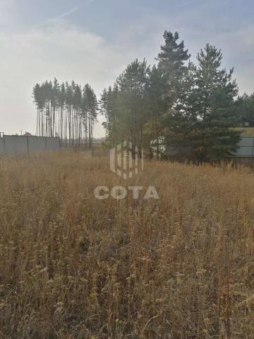 Участок на продажу в свхе Масловском 1 отделених, Юбилейная улица фото №3