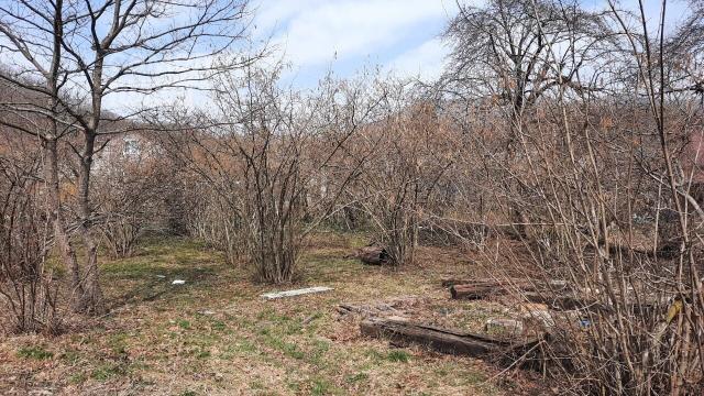 Участок на продажу в Шаумяне, улица Пасечного, 17 фото №0