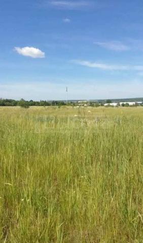 Участок на продажу в Новоживотинном, улица Космонавтов, 50 фото №2