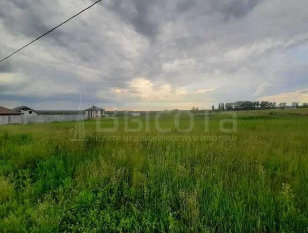 Участок на продажу в Новоживотинном, улица Космонавтов, 50 фото №3