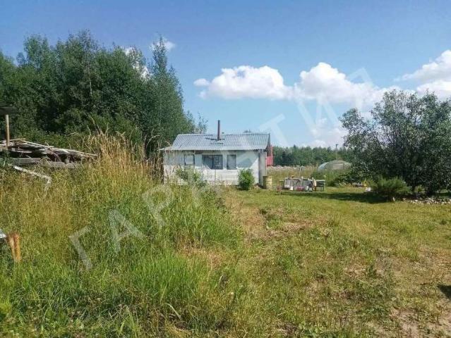 Дача на продажу в Можайском, садоводческое товарищество Шограш фото №3