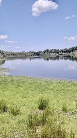 Участок на продажу в Бурковском, ул. Декабрьская фото №0