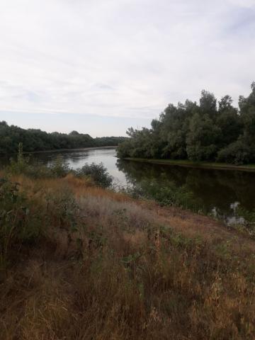Участок на продажу в Бурковском, ул. Декабрьская фото №2