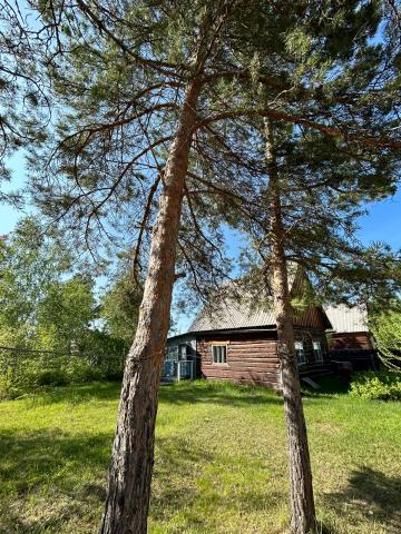 Участок на продажу в Пригородном, Покровский тракт фото №5