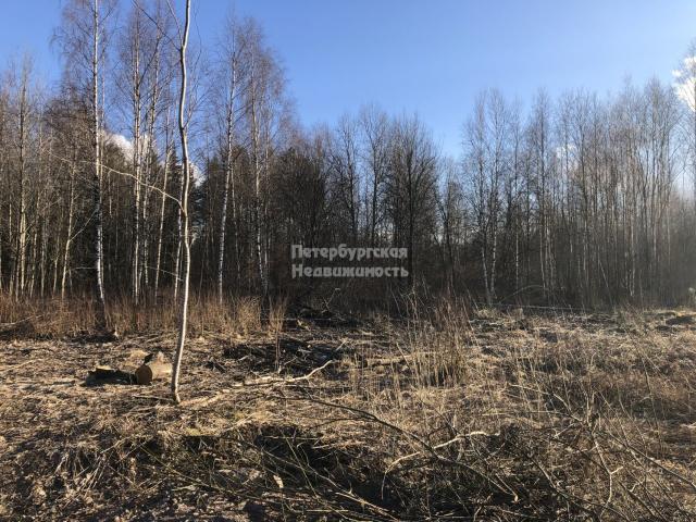 Участок на продажу в Пальцево, Пальцево пос. фото №0