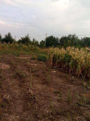 Участок на продажу в Русской Гвоздевке, Лесная ул, 8 фото №0