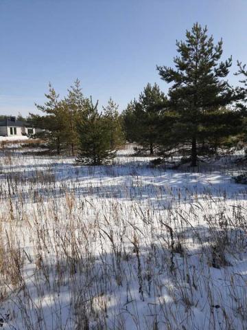 Дом на продажу в Староживотинном, Арена Большая ул фото №2