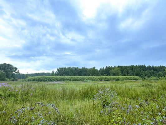 Коммерческая земля на продажу в Екатеринбурге, Апельсиновая ул фото №0