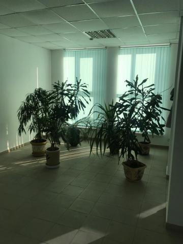 Помещение свободного назначения на продажу по адресу Россия, Краснодарский край, городской округ Краснодар, Краснодар, Почтовая улица, 209 фото №18