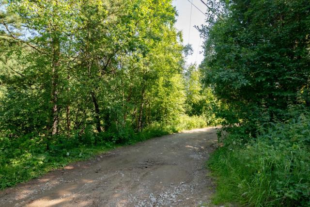 Дом на продажу в Листвянке, улица Чапаева, 78 фото №5