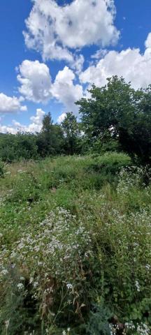 Участок на продажу в Шаумяне, улица Бабича фото №5