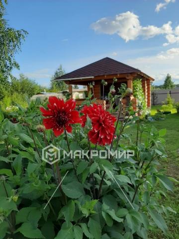 Дом на продажу в Устье, Полевая ул. фото №15